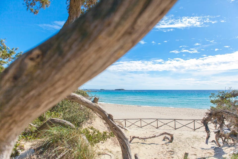 Summer, Beach, On site