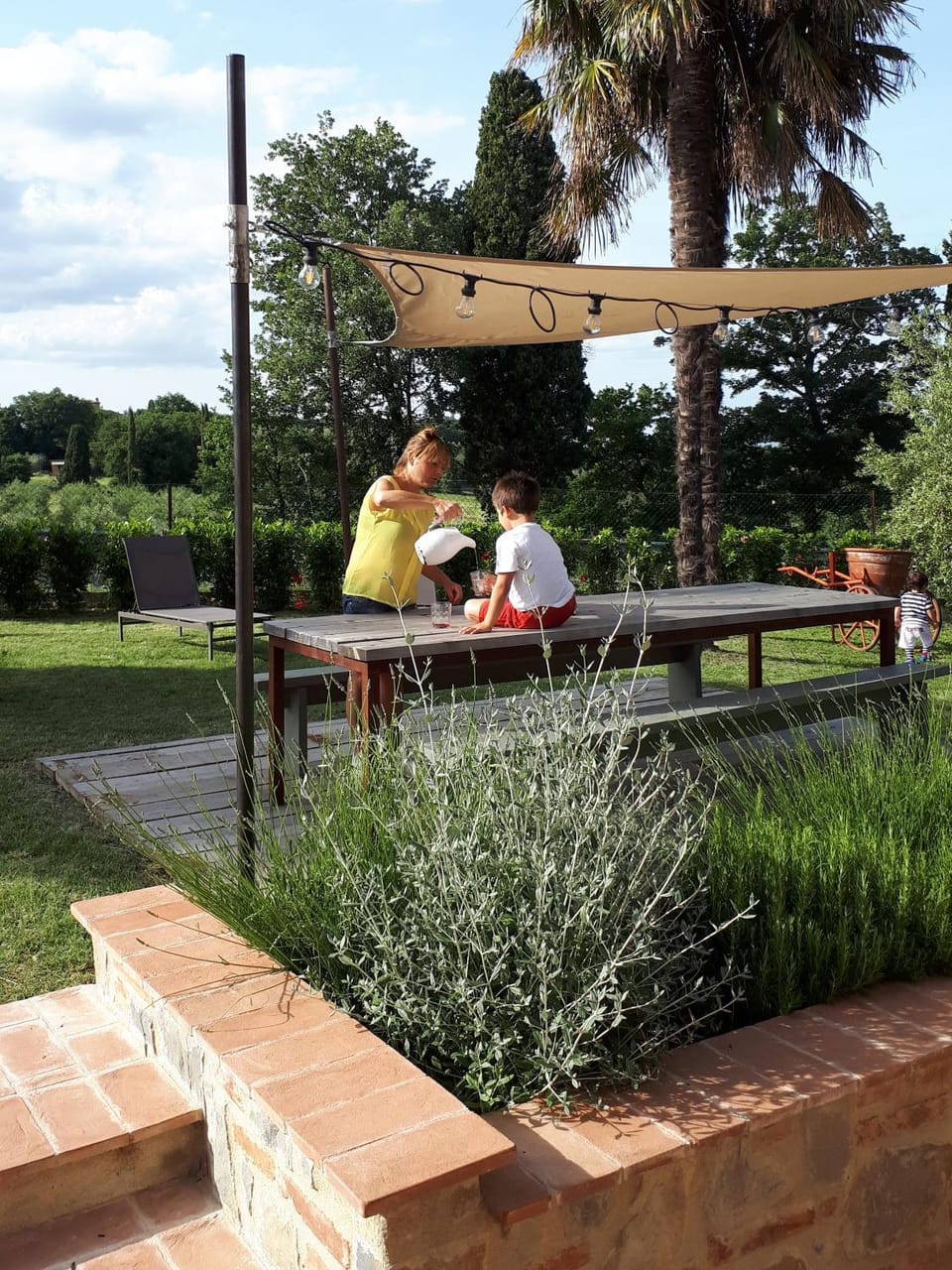 Garden