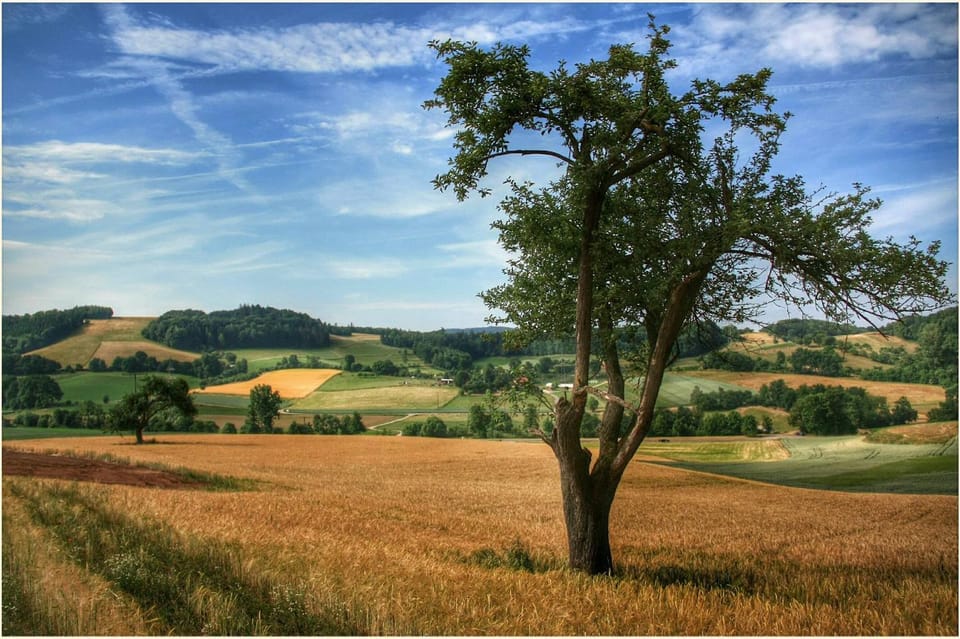 Natural landscape