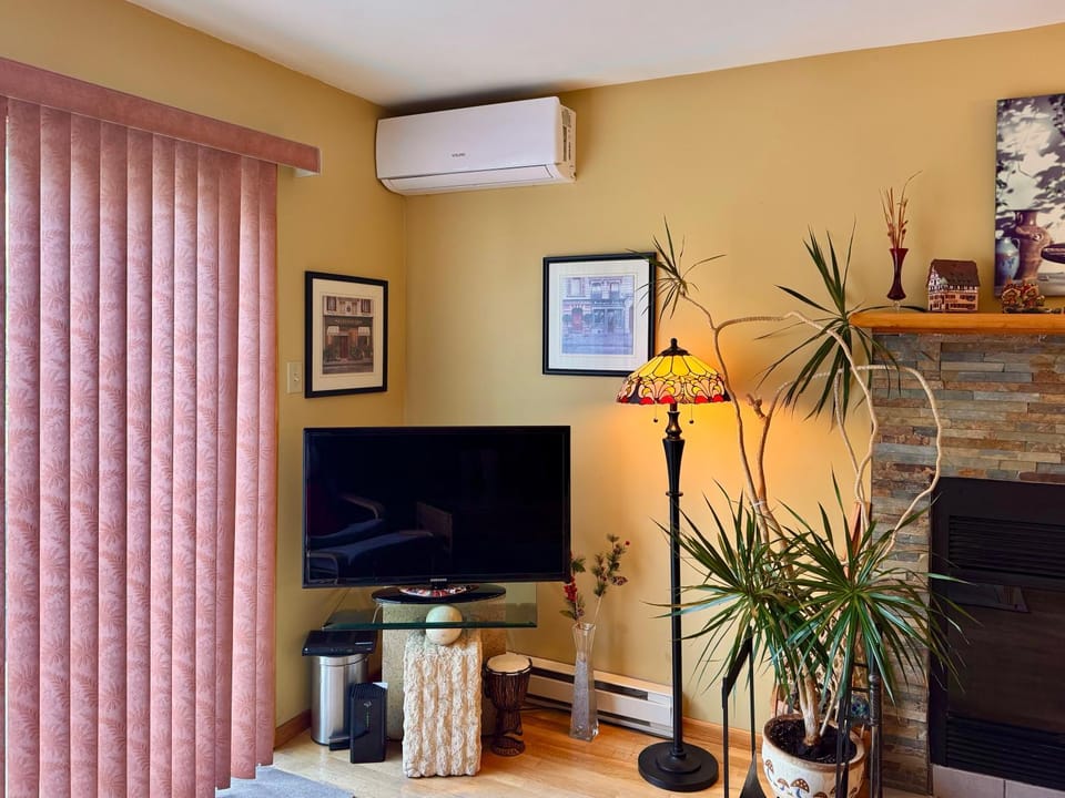 TV and multimedia, air conditioner