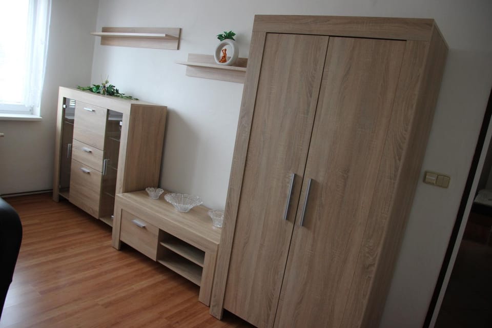 Prázdninové ubytování - celý byt jen Váš Vacation rental in Czechia