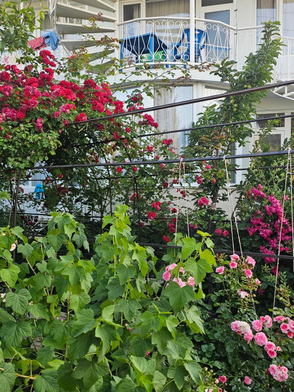 " У Татьяны" Bed and Breakfast in Almaty Region, Kazakhstan