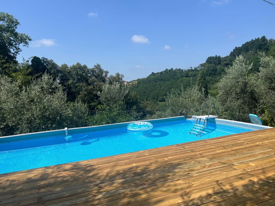 Swimming pool, Swimming pool