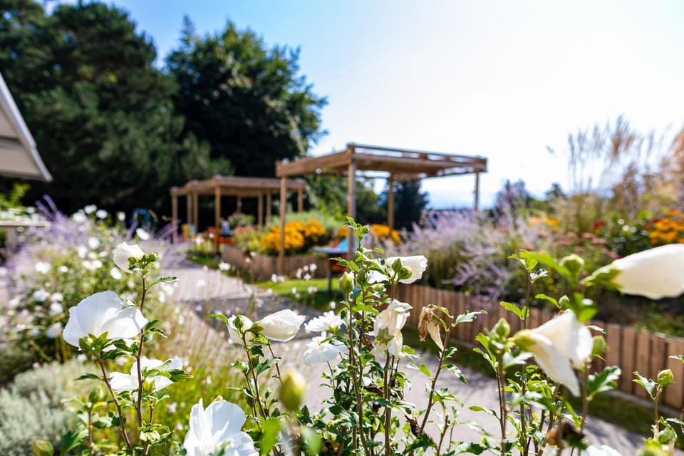 Patio, Restaurant/places to eat