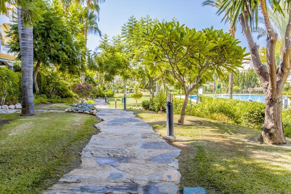 Patio, Garden, Garden view