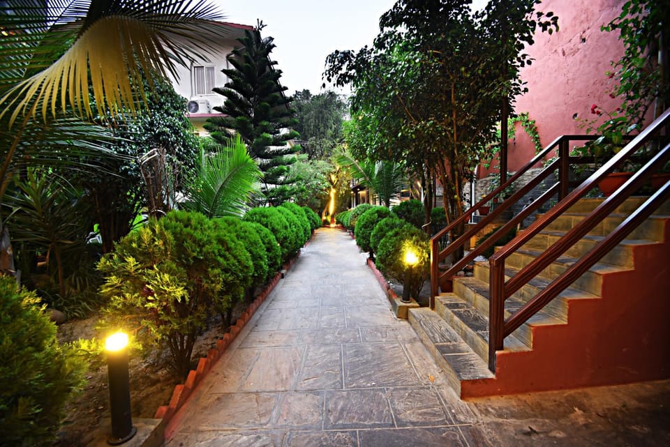 Garden
