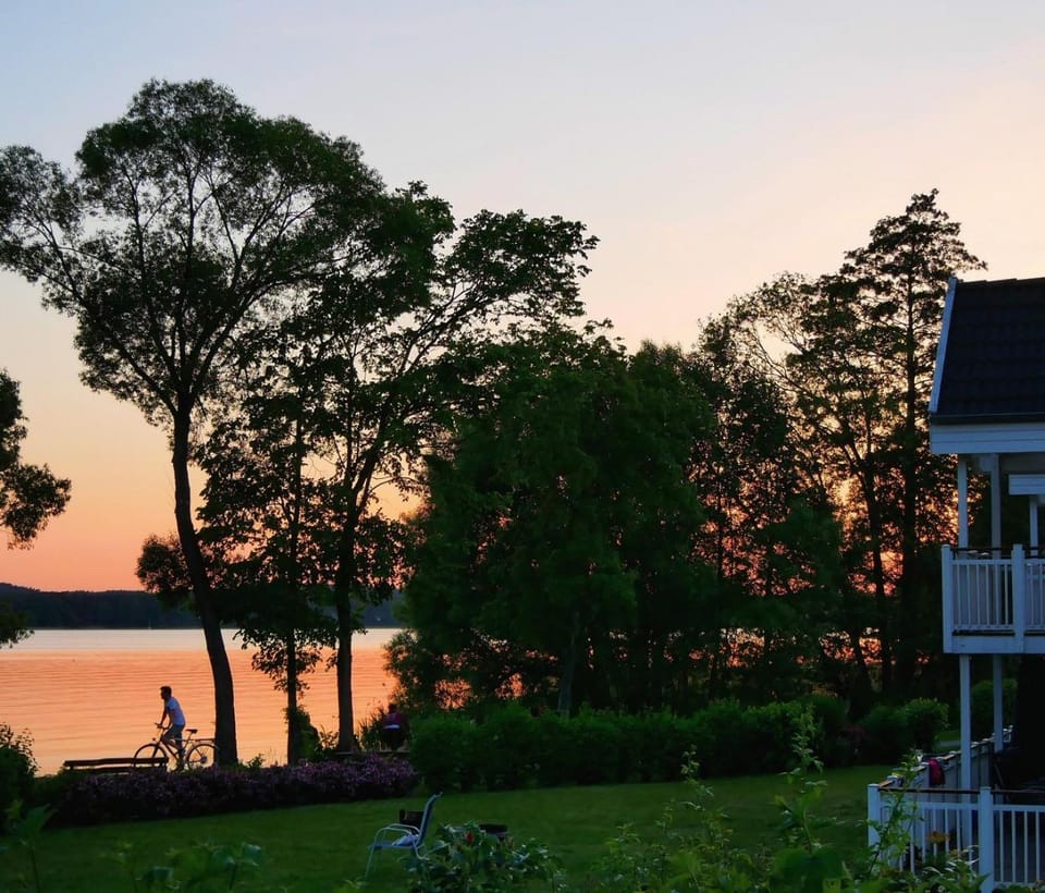 Lake view