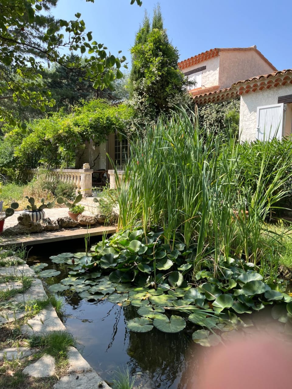 LE CHÊNE ET L'EAU Bed and Breakfast in Roquebrune-sur-Argens
