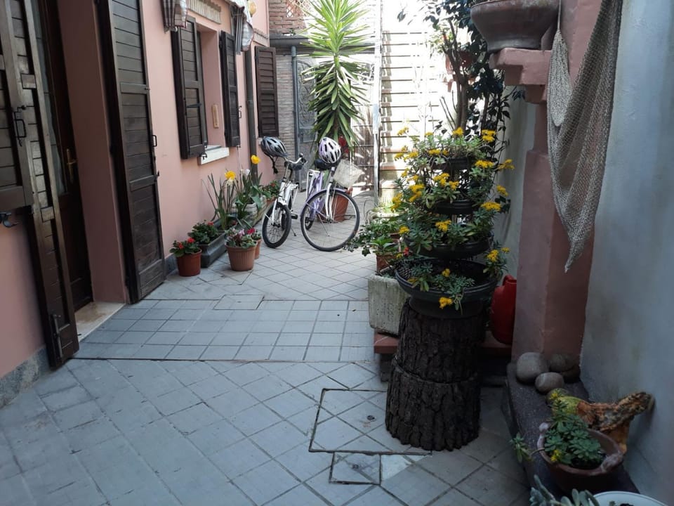 Day, Garden, Garden, Cycling, Garden view, Garden view