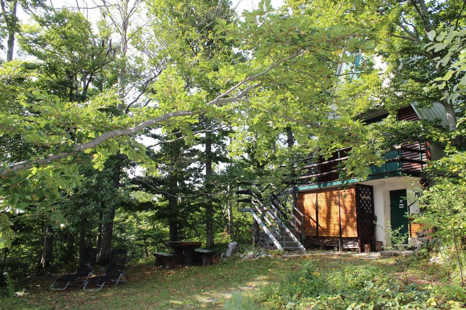 Property building, BBQ facilities, Garden