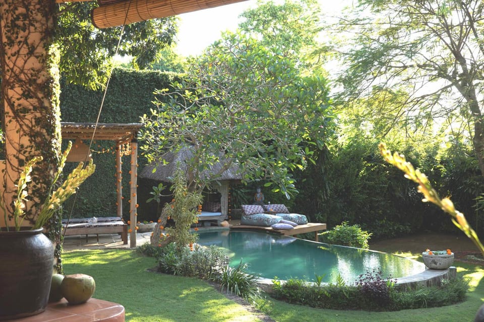Natural landscape, Garden, Garden view, Pool view, Swimming pool, sunbed