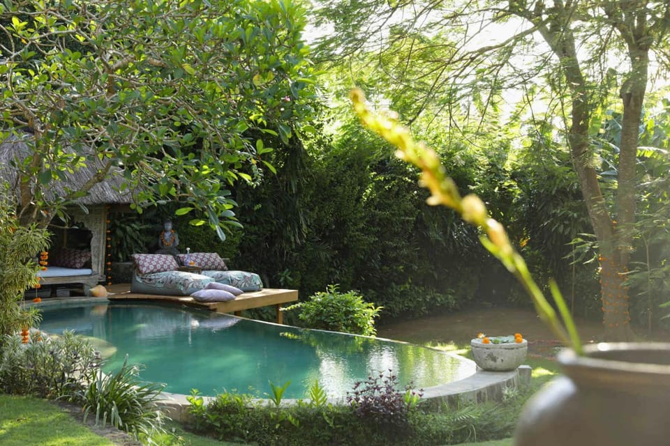 Day, Natural landscape, Garden, Garden view, Pool view, Swimming pool, sunbed
