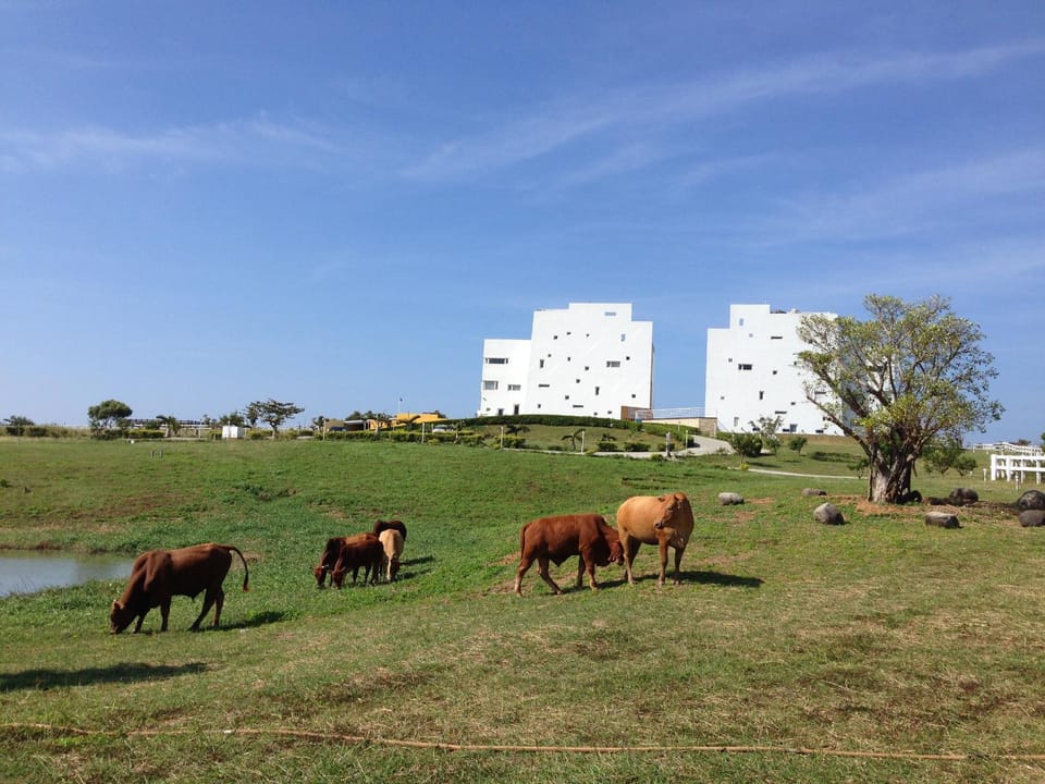 Property building, Day, Natural landscape, Animals, Garden view