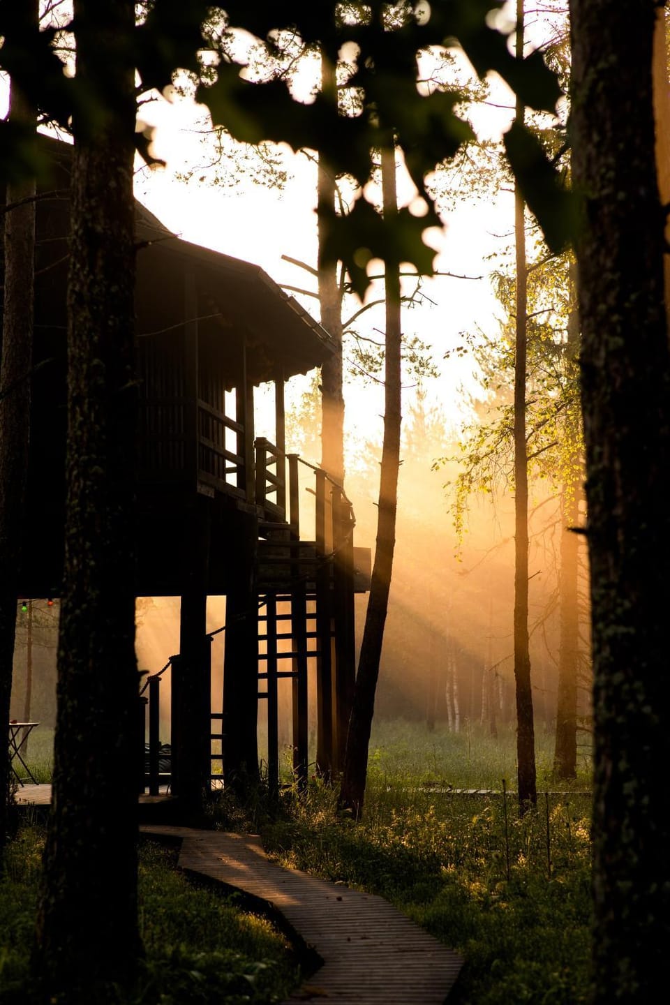 Treehouseestonia Nature lodge in Harju County, Estonia