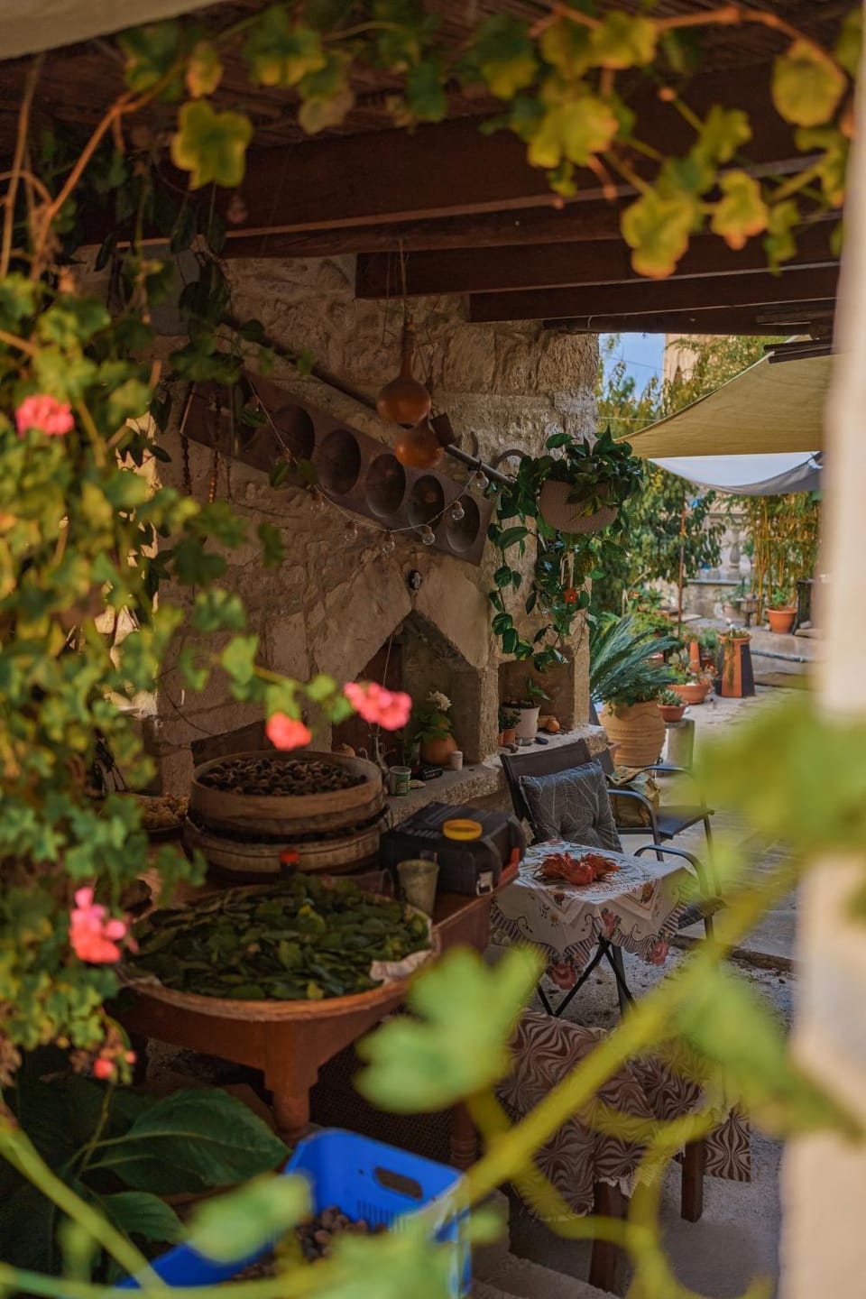 Property building, Patio