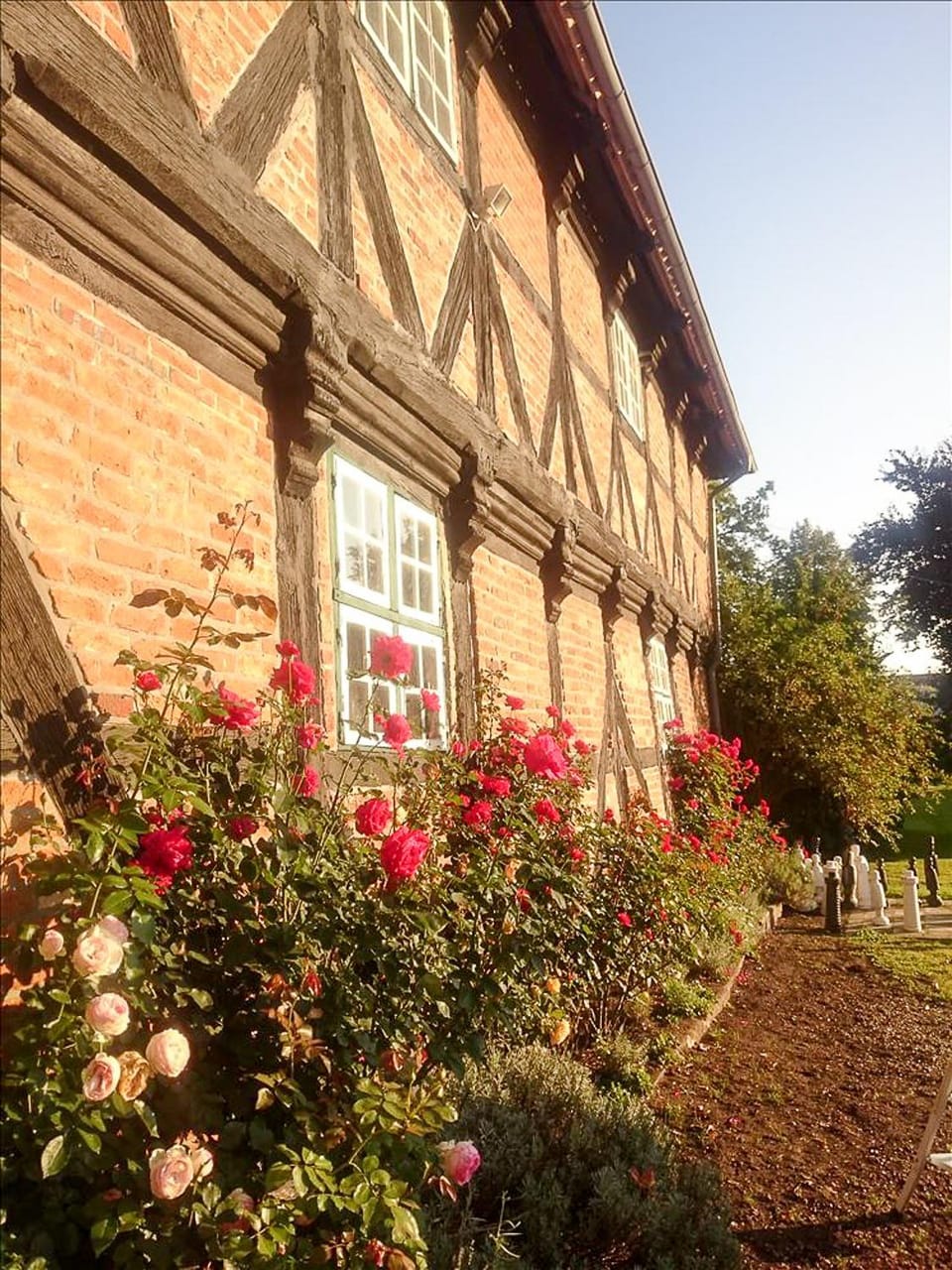 Property building, Patio, Facade/entrance, Garden