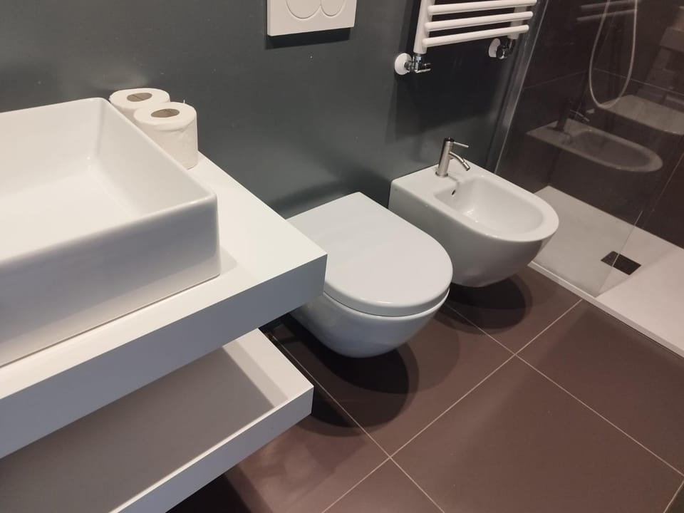 Shower, Toilet, Bathroom, bidet