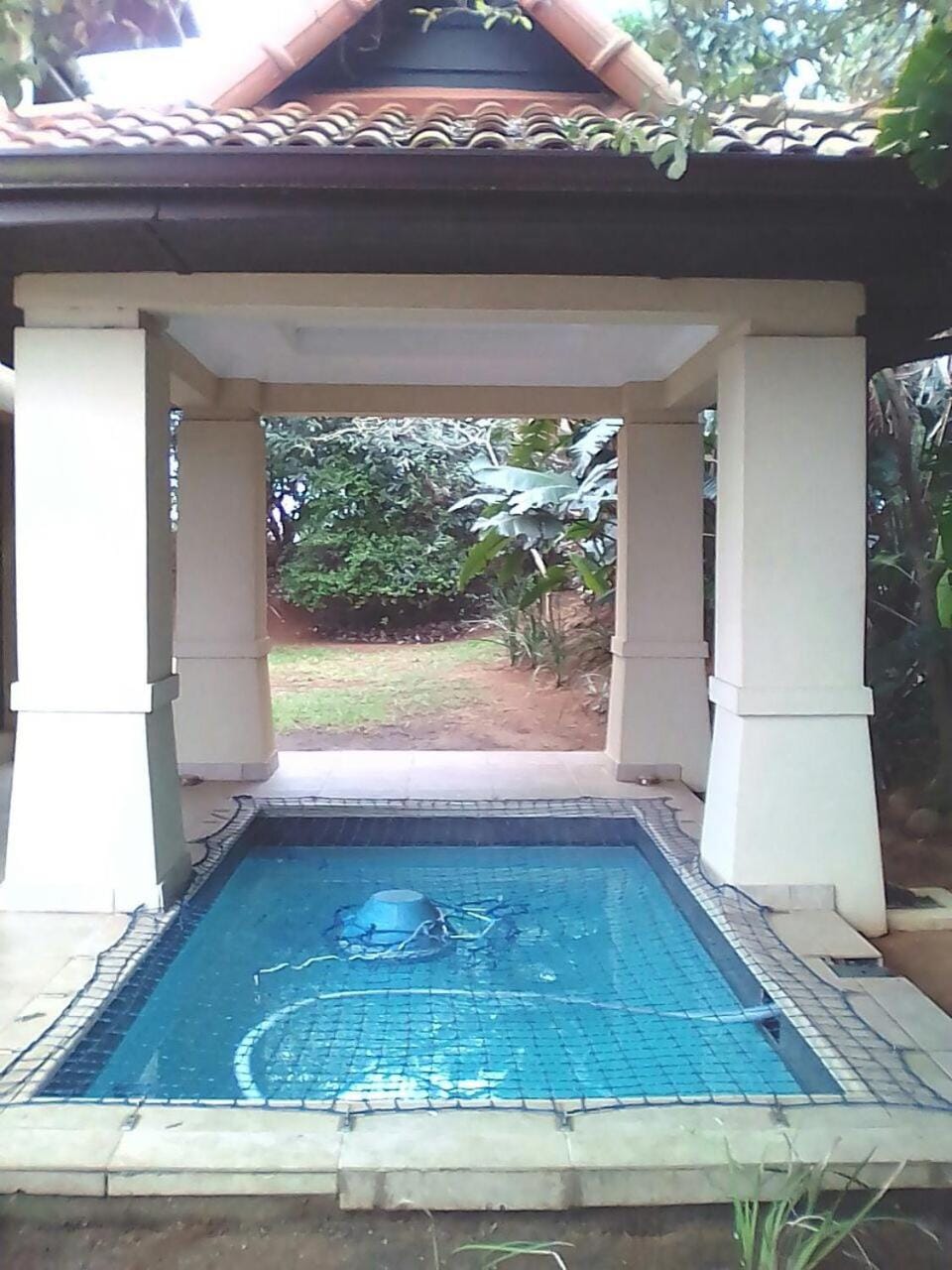 Swimming pool, Swimming pool