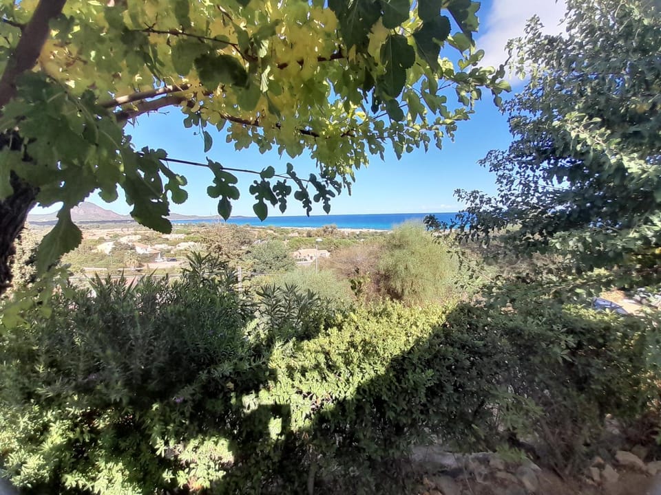 View (from property/room)