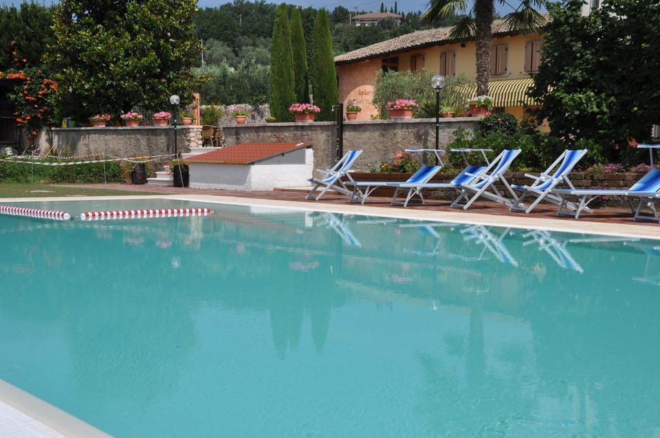 Garden, Solarium, Swimming pool