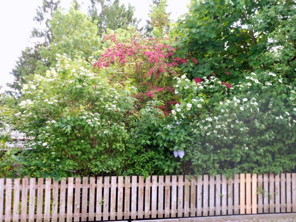 Garden view, Street view