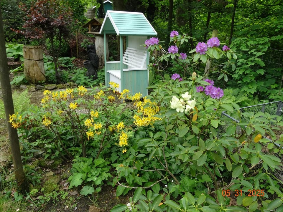 Garden, Garden view
