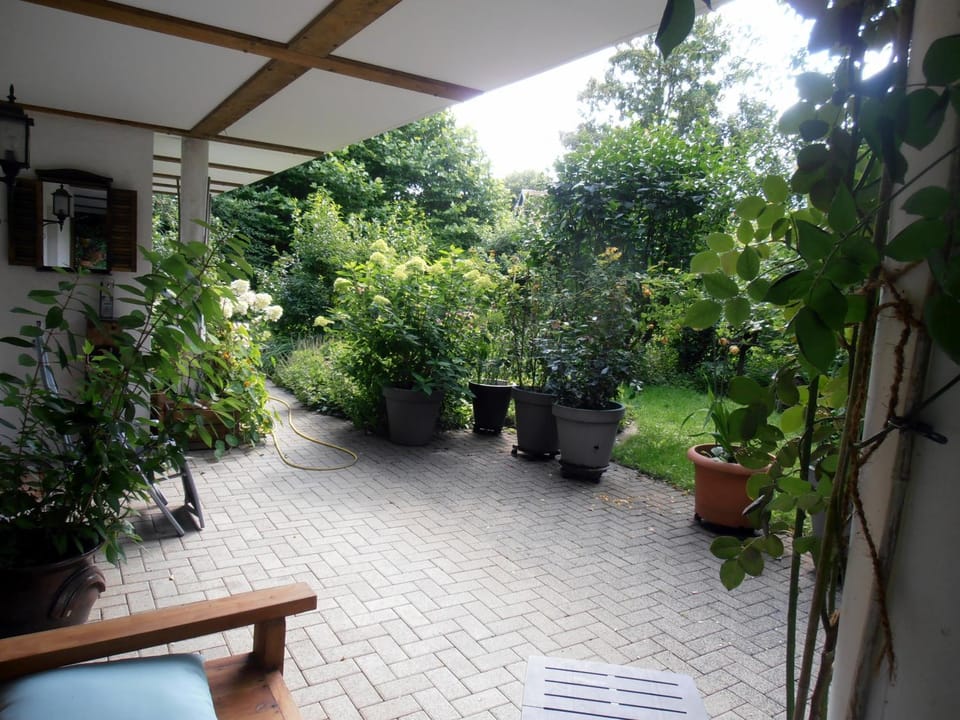 Property building, Patio, Garden