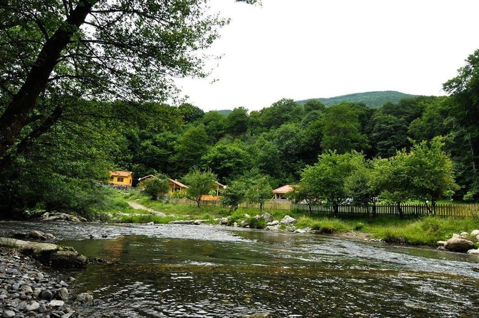 Natural landscape