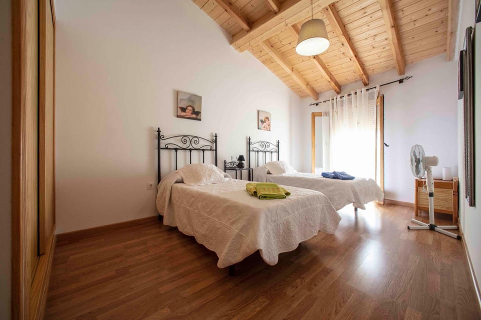Bed, Area and facilities