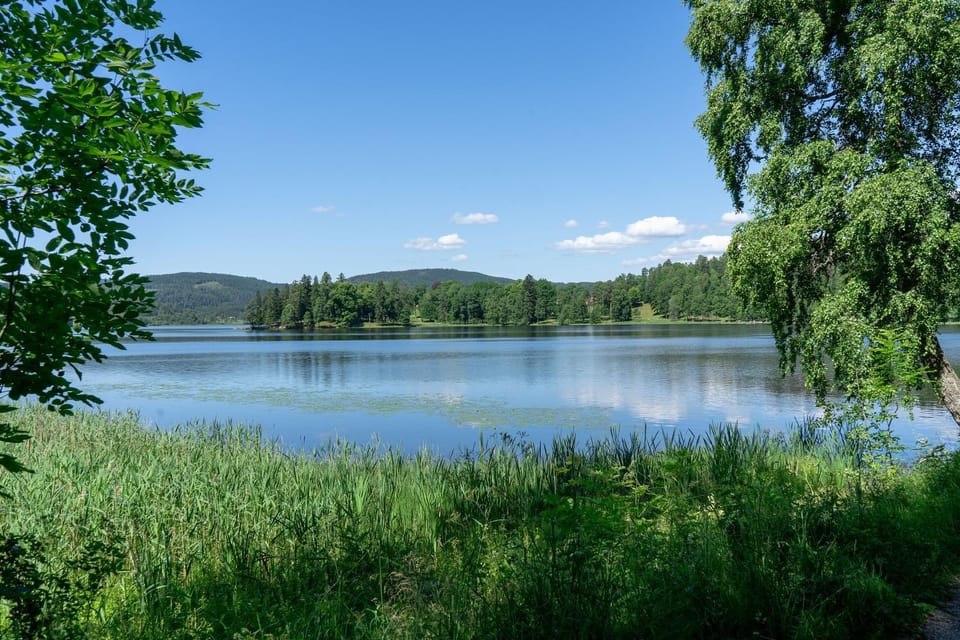 Lake view