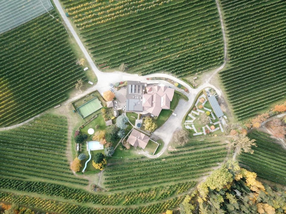 Bird's eye view, Autumn