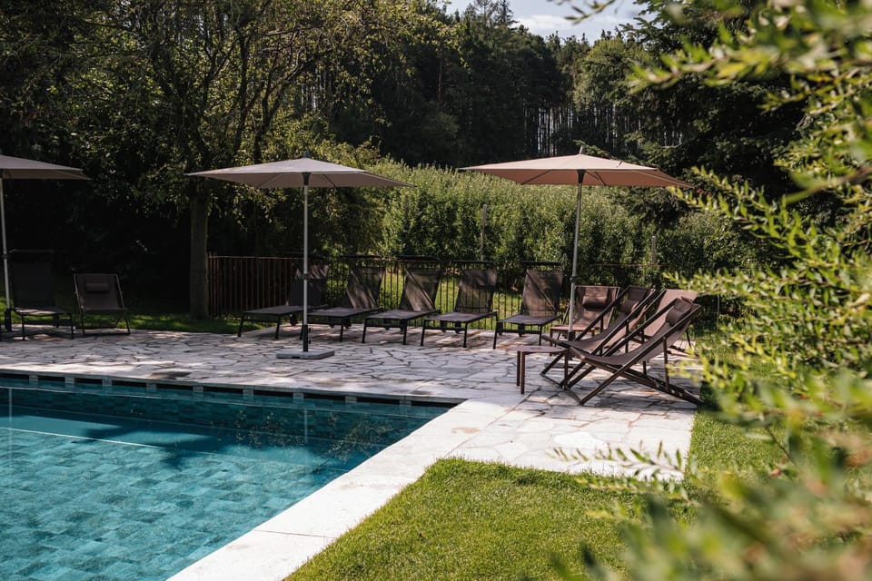 Garden, Pool view, Swimming pool, sunbed