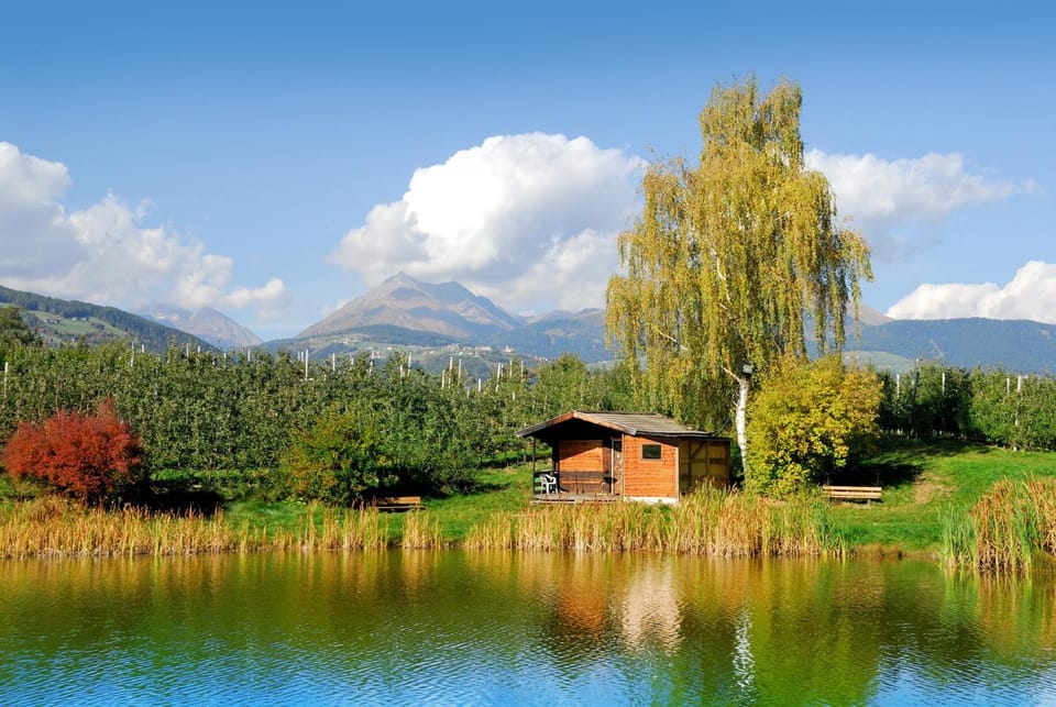 Natural landscape, Garden, On site, Lake view