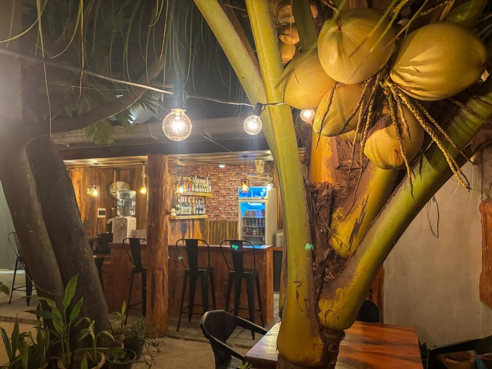 Lounge or bar