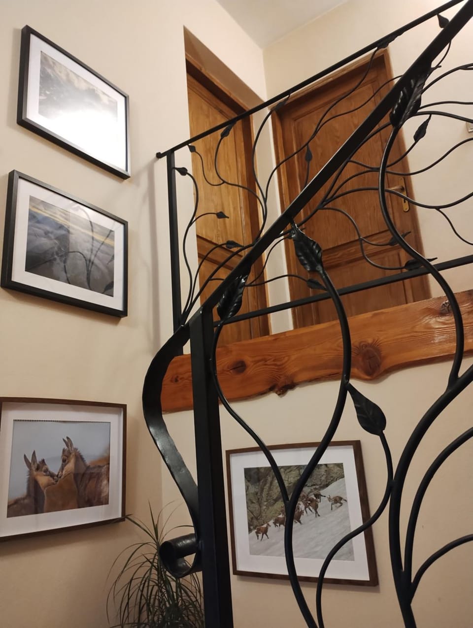 Chatka Zuzia Vacation rental in Zakopane