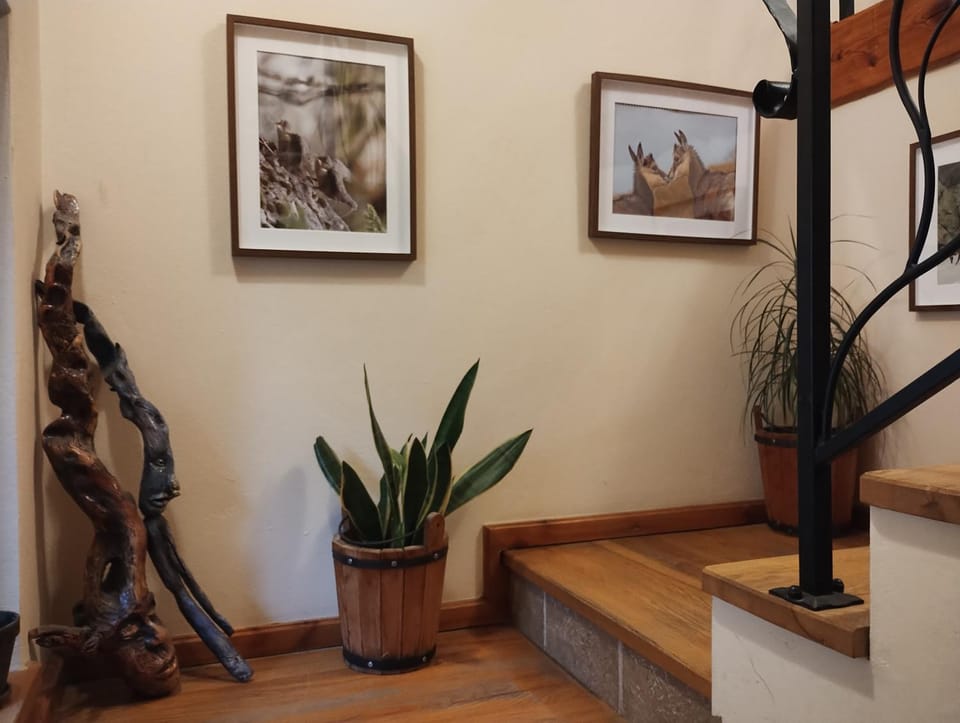 Chatka Zuzia Vacation rental in Zakopane