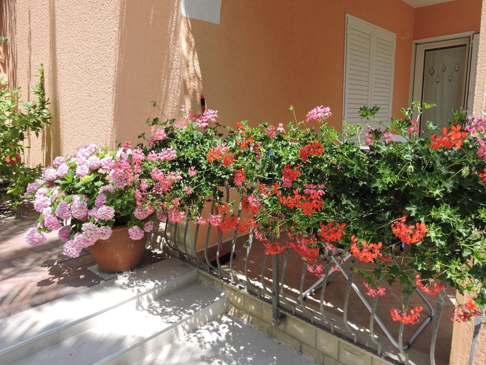 Neda Apartmani Apartment in Mali Losinj