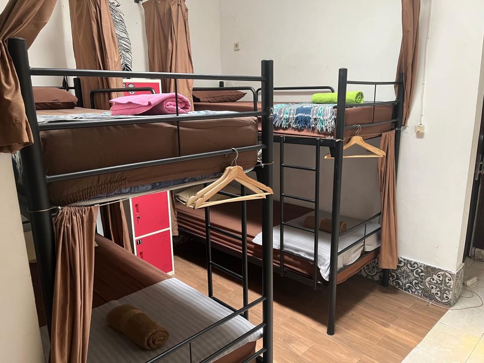 Bed, Photo of the whole room, Bedroom, bunk bed
