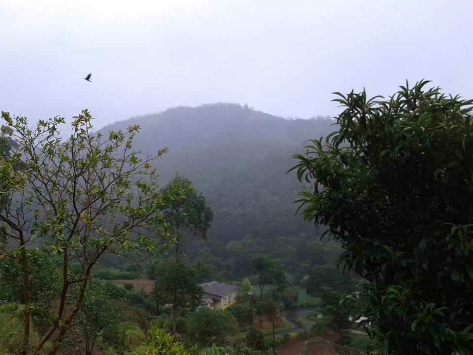 Mountain view