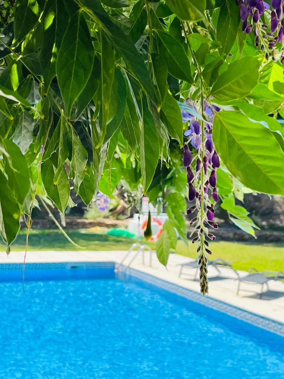 Off site, Summer, Swimming pool