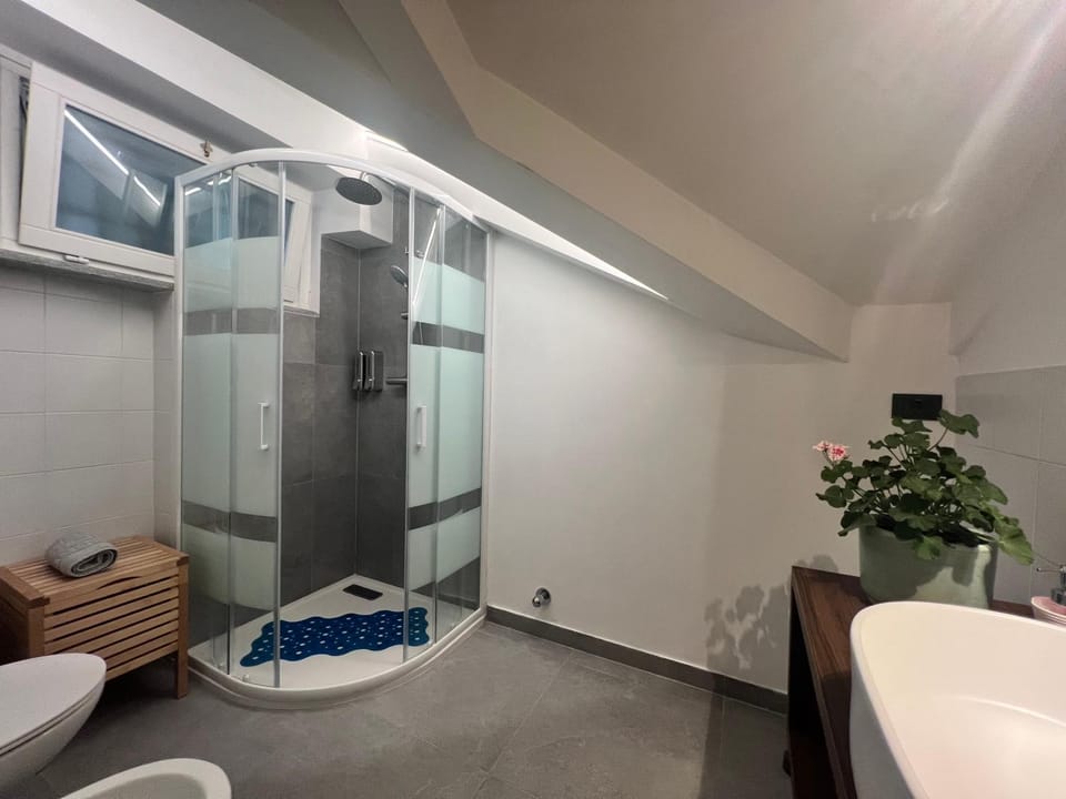 Shower, Toilet, Bathroom, towels