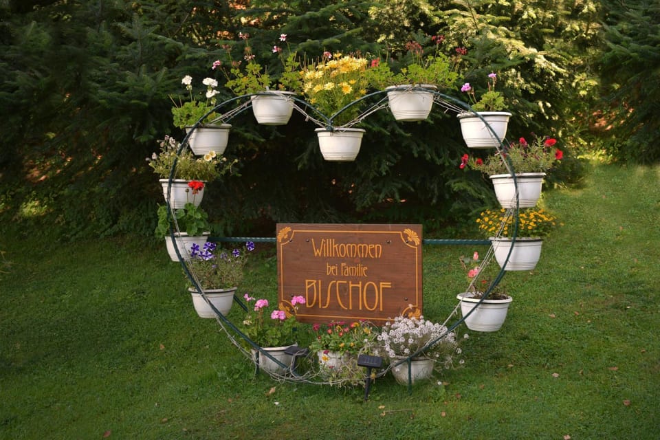 Spring, Property logo or sign, Decorative detail