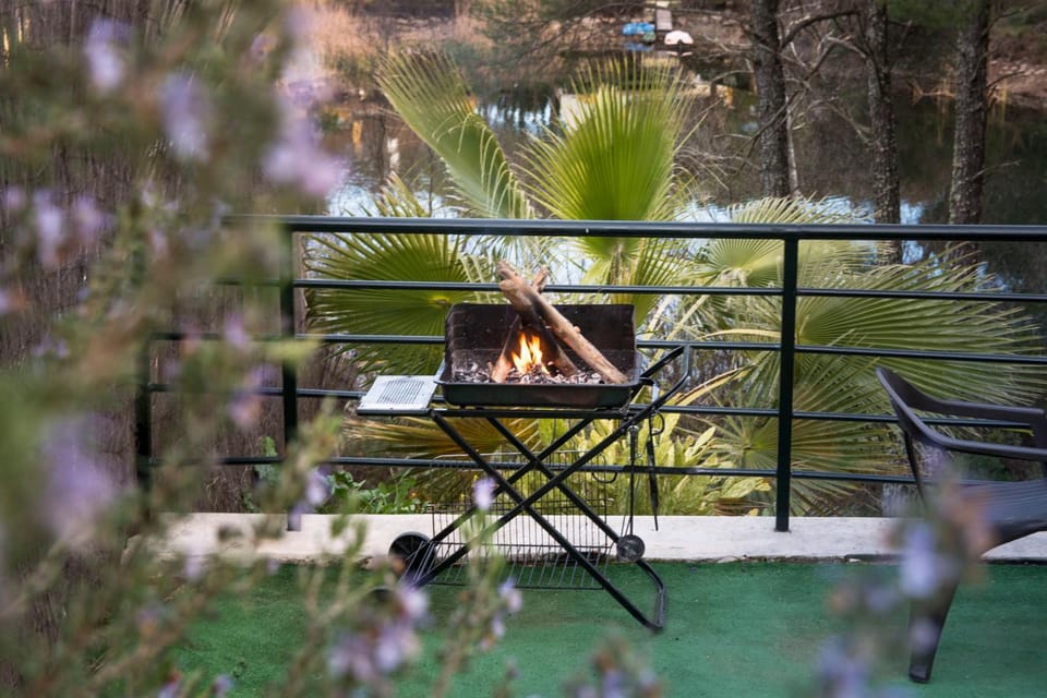 Natural landscape, Garden, Garden view