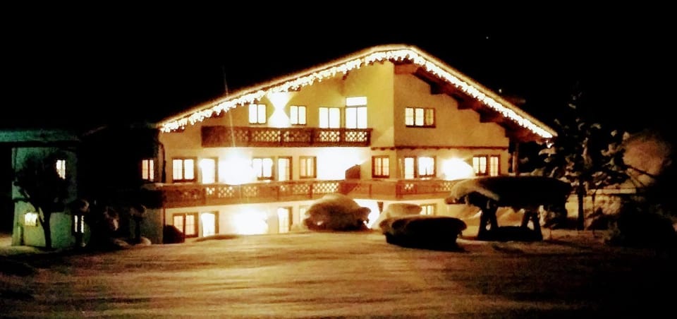 Night, Winter, Garden view