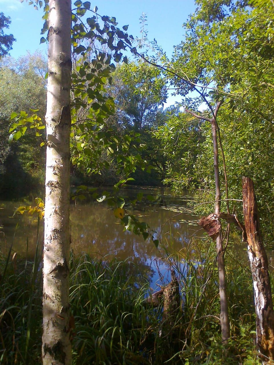 Natural landscape