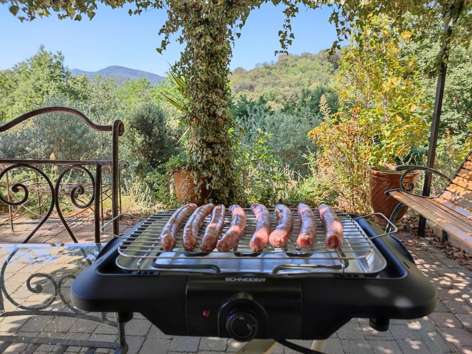 Patio, BBQ facilities, BBQ facilities, Balcony/Terrace, Garden view