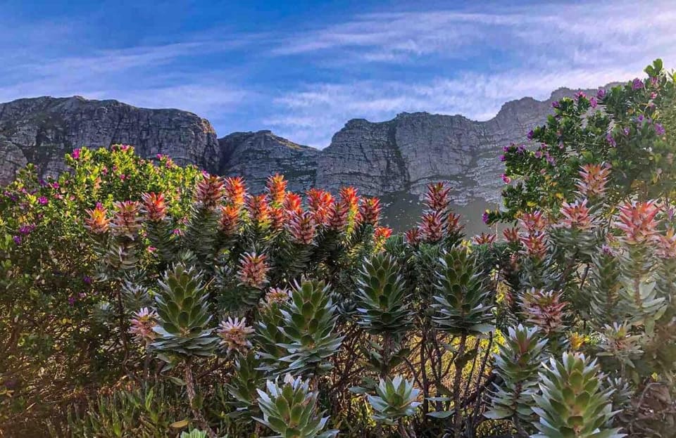 Nearby landmark, Spring, Natural landscape, Mountain view