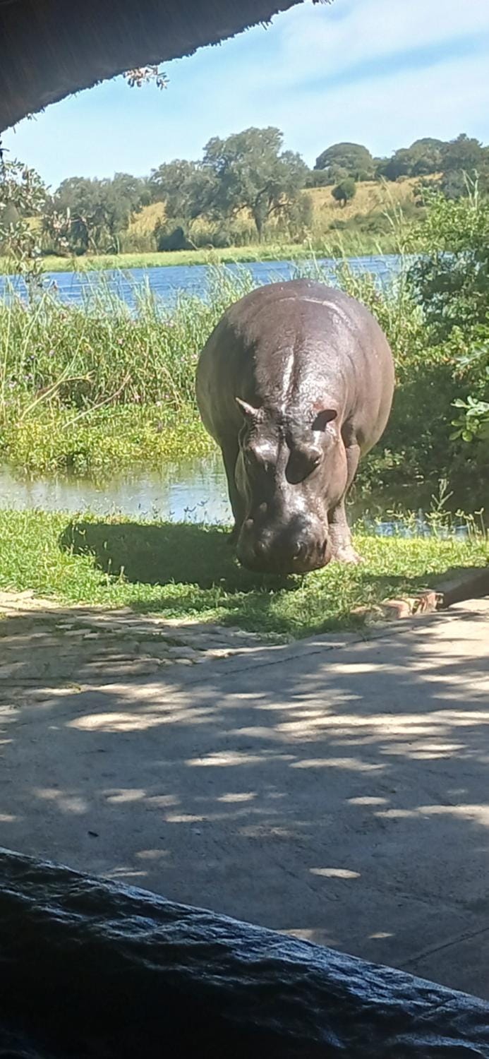Camp Hogo Kavango Campground/ 
RV Resort in Africa