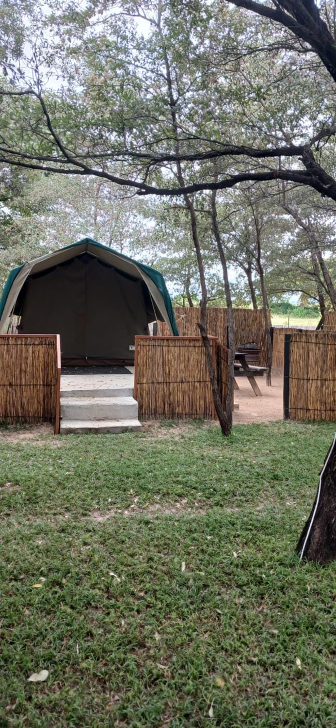 Camp Hogo Kavango Campground/ 
RV Resort in Africa