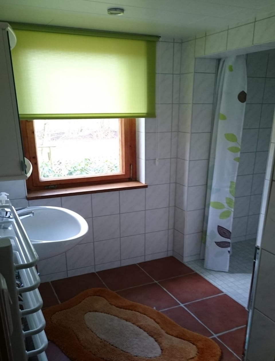 Shower, Bathroom, Photo of the whole room